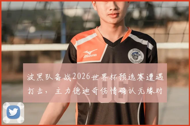 波黑队备战2026世界杯预选赛遭遇打击，主力德迪奇伤情确认无缘对阵卡塔尔