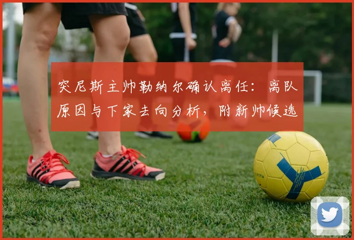 突尼斯主帅勒纳尔确认离任：离队原因与下家去向分析，附新帅候选人名单预测及对2026世预赛影响